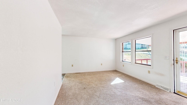 carpeted spare room with a wealth of natural light and a textured ceiling