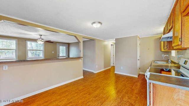 kitchen featuring a healthy amount of sunlight, hardwood / wood-style floors, stove, and sink