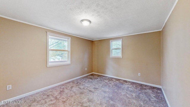 unfurnished room with carpet, a textured ceiling, and crown molding