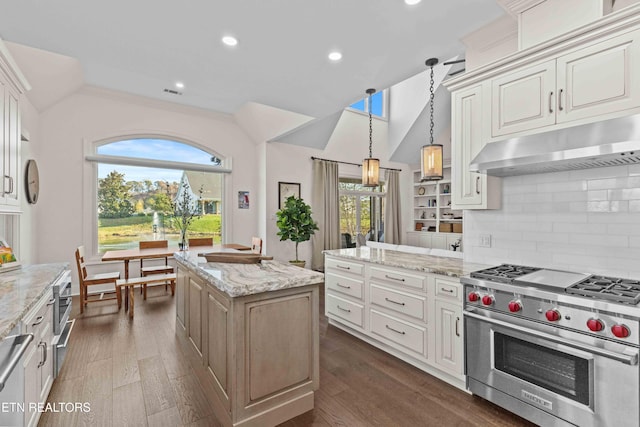 kitchen with dark hardwood / wood-style flooring, premium stove, a healthy amount of sunlight, and a kitchen island