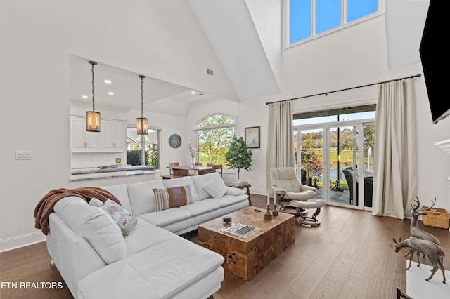 living room with hardwood / wood-style flooring, french doors, and high vaulted ceiling