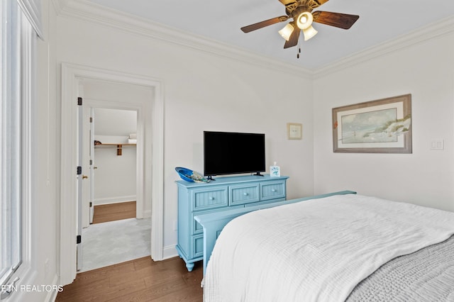 bedroom with ornamental molding, dark hardwood / wood-style flooring, ceiling fan, and a walk in closet