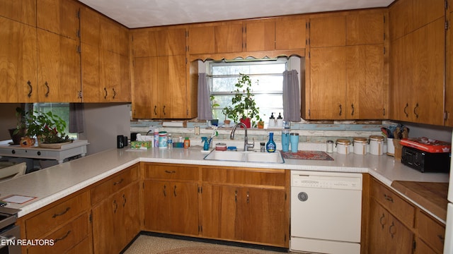 kitchen featuring sink, backsplash, and dishwasher