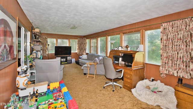 carpeted home office featuring wood walls, a textured ceiling, and plenty of natural light