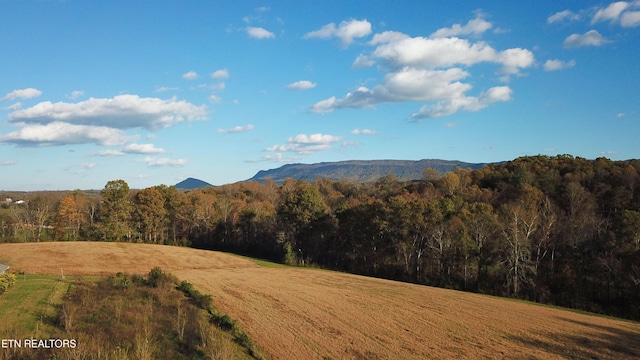 property view of mountains