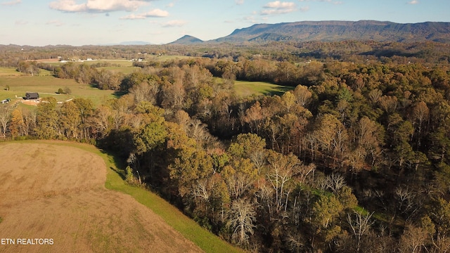 view of mountain feature