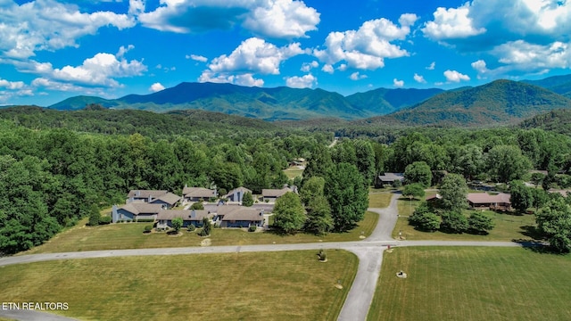 birds eye view of property featuring a mountain view