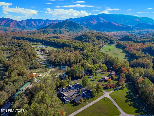 birds eye view of property with a mountain view