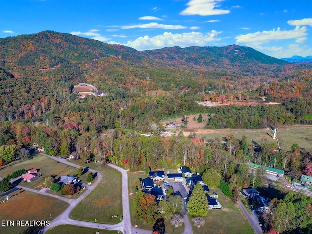 aerial view with a mountain view