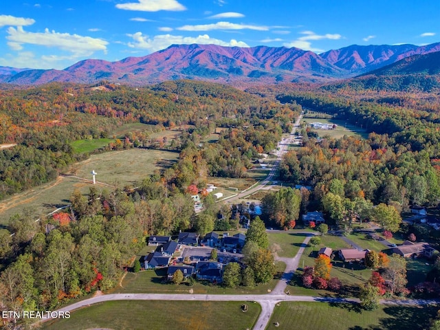 drone / aerial view featuring a mountain view