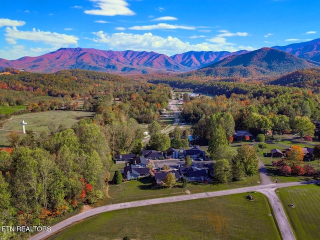 aerial view with a mountain view