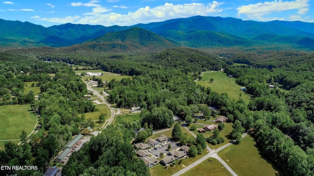 aerial view featuring a mountain view