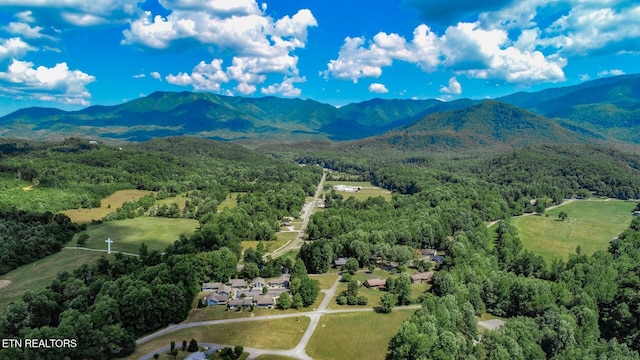 birds eye view of property featuring a mountain view