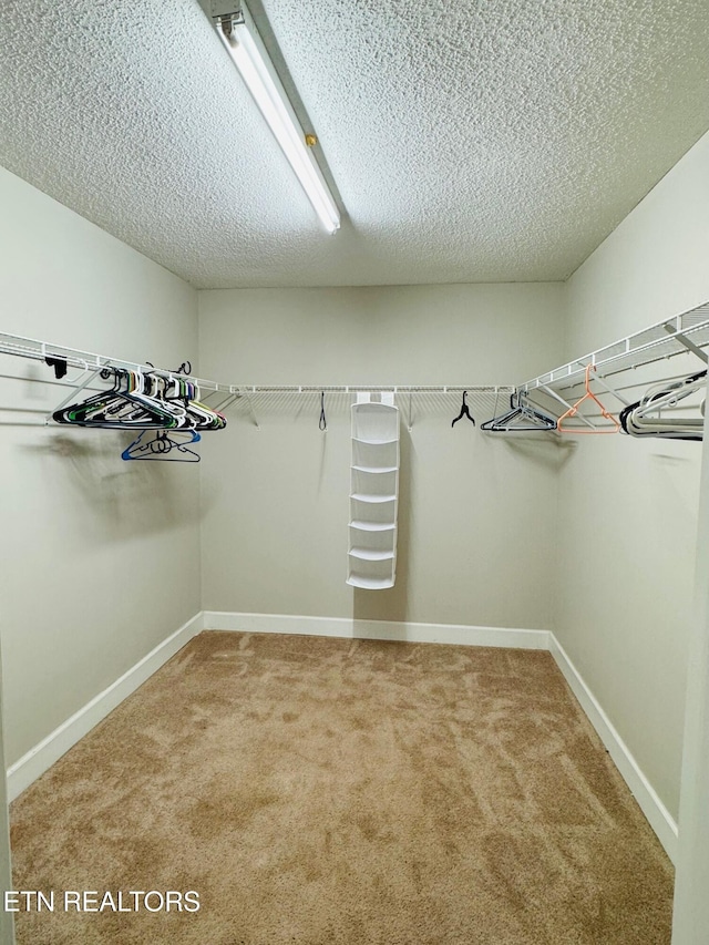 spacious closet with carpet floors