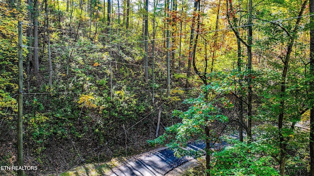 Listing photo 3 for Emerald Springs Loop, Sevierville TN 37862