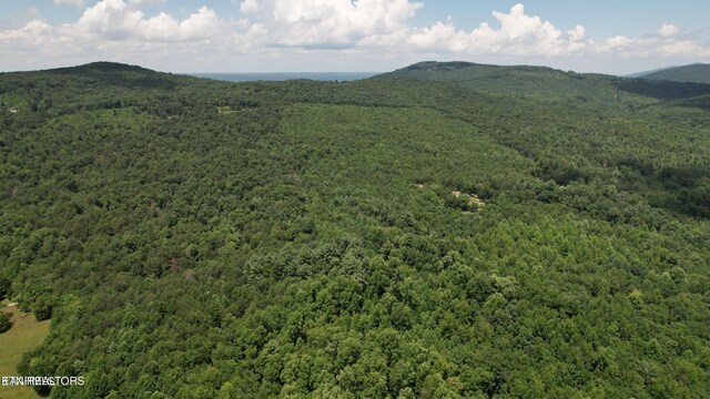 Shady Oaks Dr, Spring City, TN 37381
