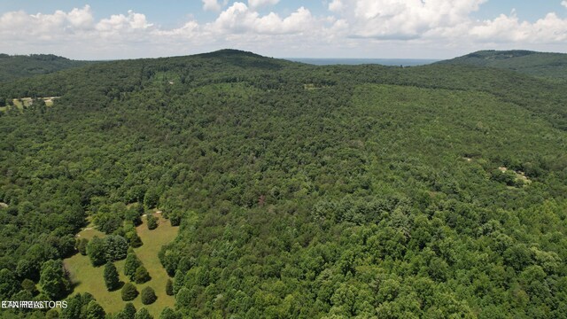 Shady Oaks Dr, Spring City, TN 37381