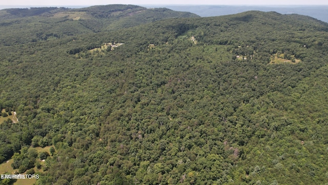 Shady Oaks Dr, Spring City, TN 37381