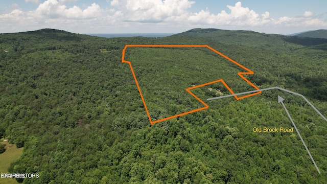 Shady Oaks Dr, Spring City TN, 37381 land for sale