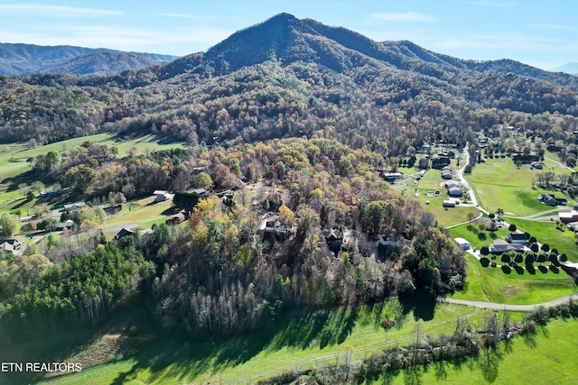 birds eye view of property featuring a mountain view