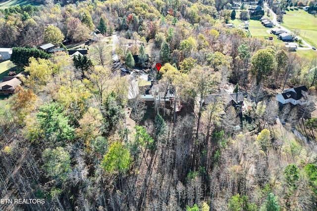 bird's eye view