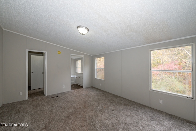 unfurnished bedroom with a textured ceiling, carpet, and lofted ceiling