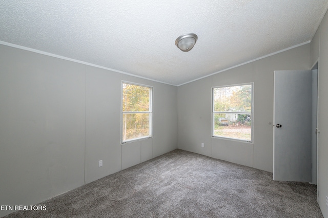 unfurnished room with carpet, a healthy amount of sunlight, lofted ceiling, and a textured ceiling