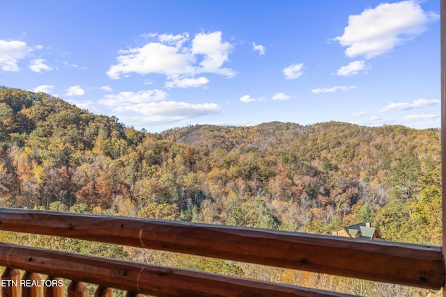 3312 Lonesome Pine Way, Sevierville, TN 37862 - photo 53