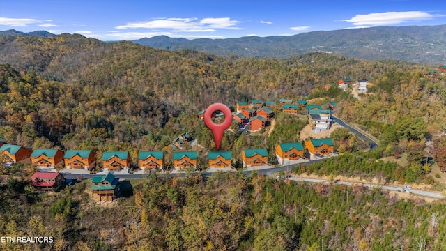 3312 Lonesome Pine Way, Sevierville, TN 37862 - photo 55