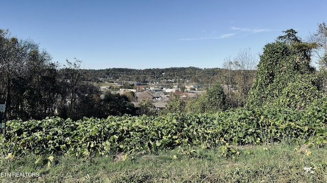 LOT25 Chapman View Dr, Seymour, TN 37865