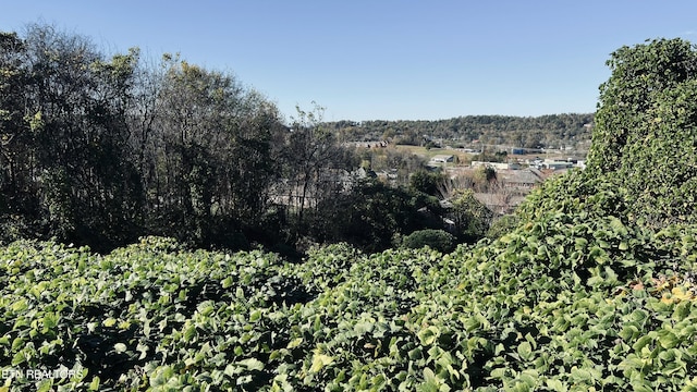 LOT25 Chapman View Dr, Seymour, TN 37865