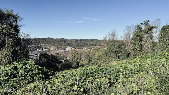 LOT25 Chapman View Dr, Seymour, TN 37865