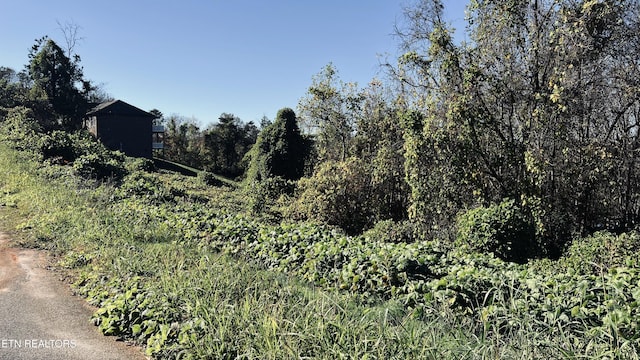LOT25 Chapman View Dr, Seymour, TN 37865