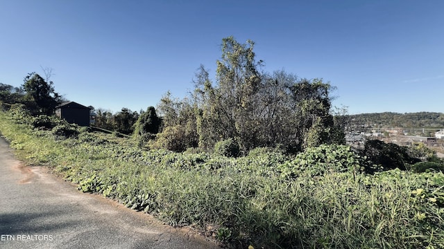 LOT25 Chapman View Dr, Seymour, TN 37865