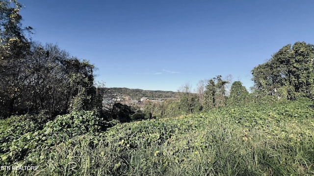 LOT25 Chapman View Dr, Seymour, TN 37865