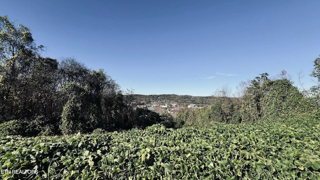 LOT25 Chapman View Dr, Seymour, TN 37865