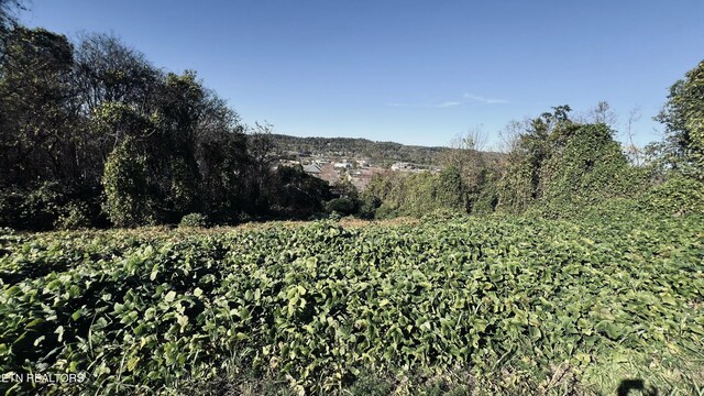 LOT25 Chapman View Dr, Seymour, TN 37865