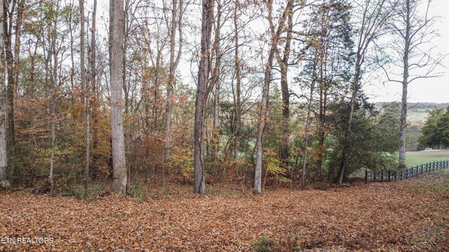 662 County Rd, Englewood, TN 37329 - photo 5