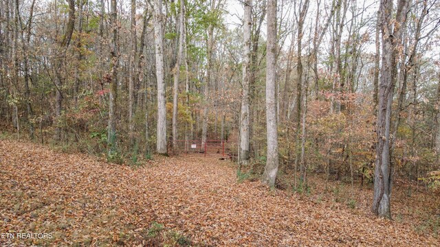 662 County Rd, Englewood, TN 37329 - photo 6