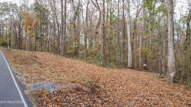 662 County Rd, Englewood, TN 37329 - photo 7