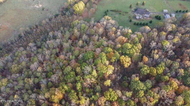 662 County Rd, Englewood, TN 37329 - photo 14