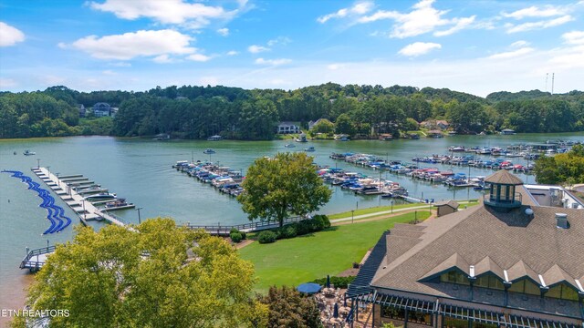 112 Alichanoska Ln, Loudon, TN 37774 - photo 17