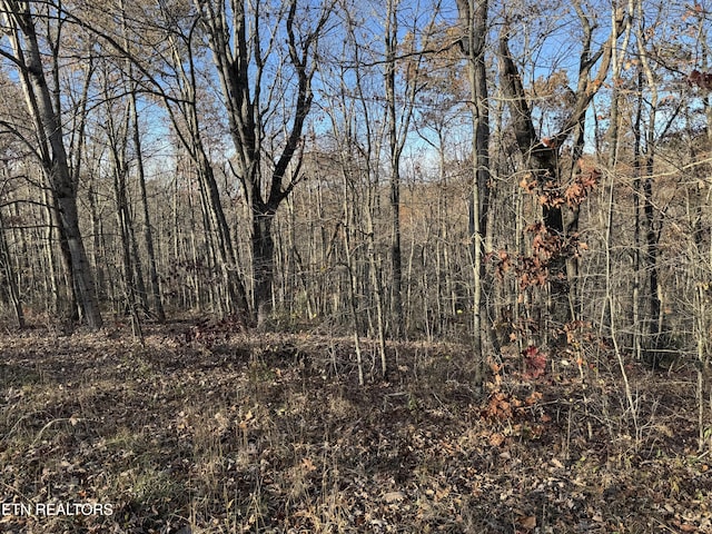 Bent Tree Rd, Monterey, TN 38574