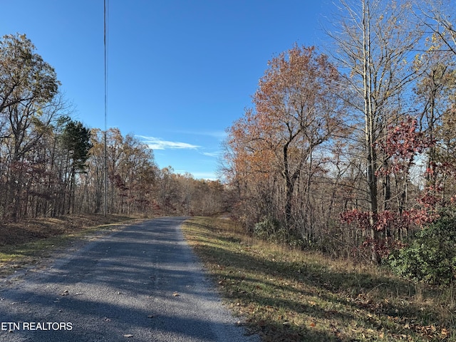 Listing photo 2 for Bent Tree Rd, Monterey TN 38574