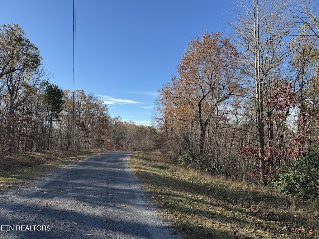 Bent Tree Rd, Monterey, TN 38574