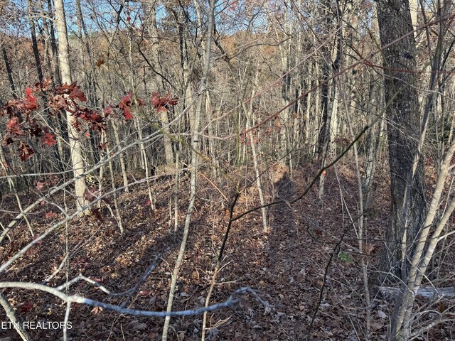 Bent Tree Rd, Monterey, TN 38574