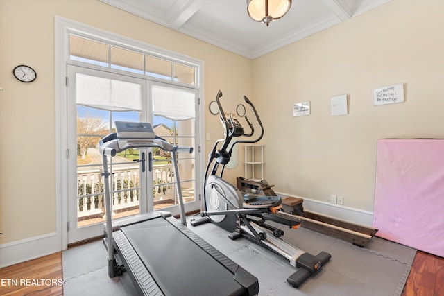 exercise area with a wealth of natural light, ornamental molding, and hardwood / wood-style flooring