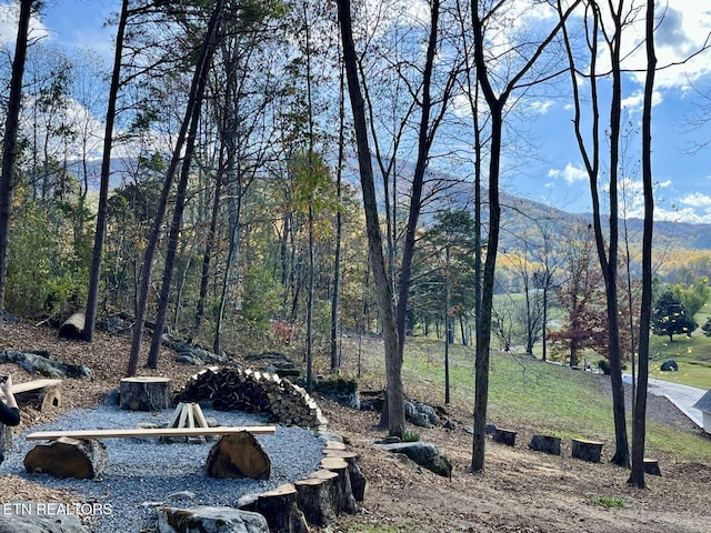 view of yard with a mountain view