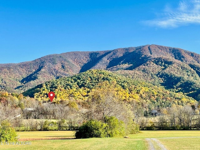 view of mountain feature