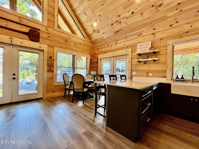 kitchen featuring french doors, wooden walls, and a healthy amount of sunlight